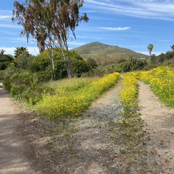 Meet your Posher, Debbie - Picture 4 of 8